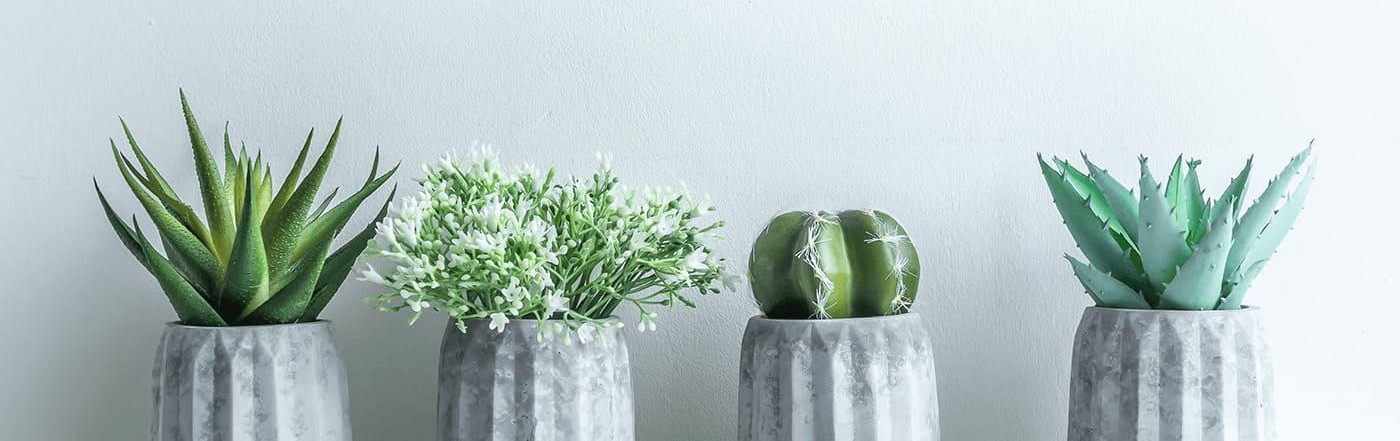 行政書士いまむらあきこ事務所